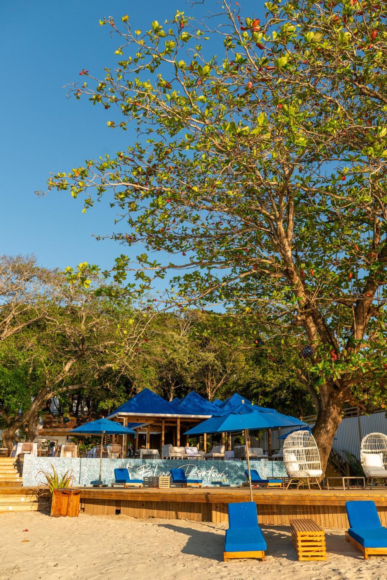 Blue Roatan Resort West Bay Dış mekan fotoğraf